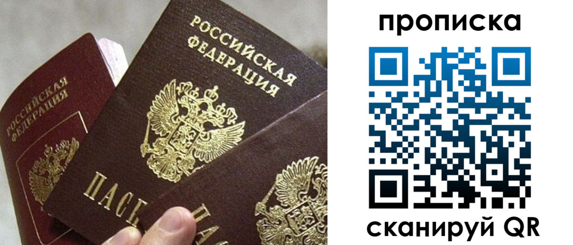 временная регистрация надежно в Петропавловске-Камчатском